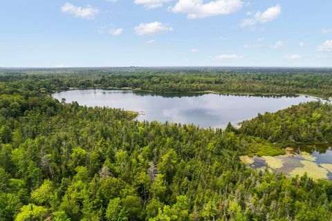 A home in Kalkaska Twp