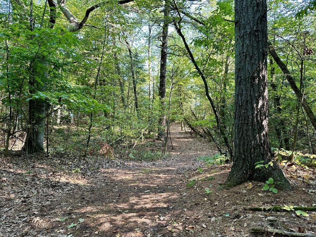 Lot 23 Pine Cone Drive