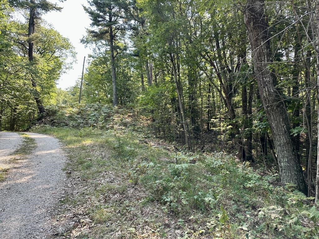 Lot 23 Pine Cone Drive