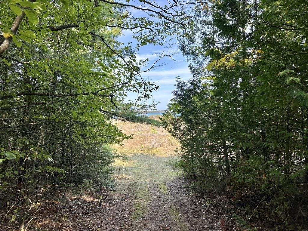 Lot 23 Pine Cone Drive