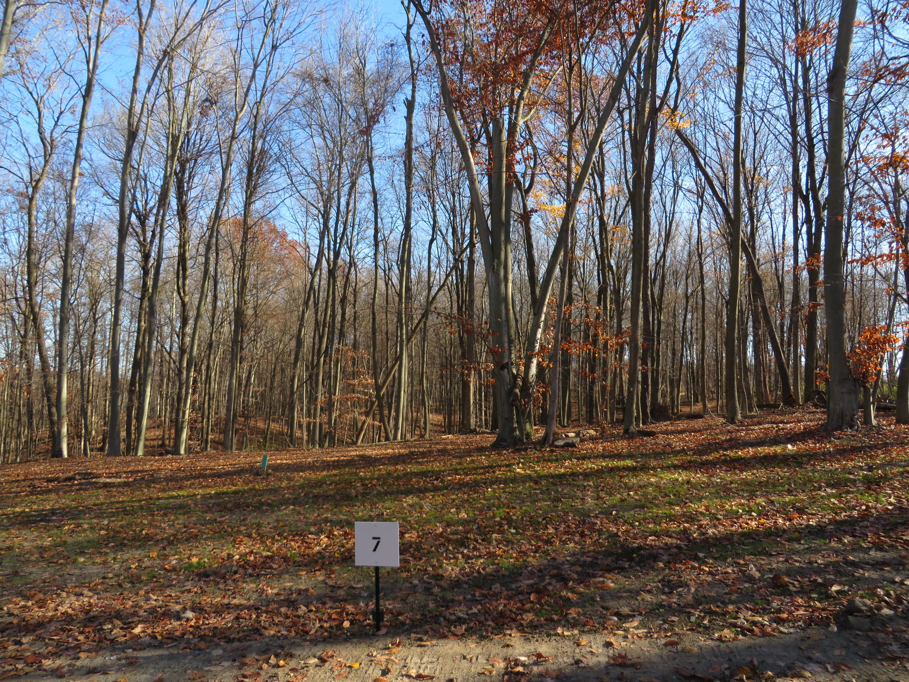 Listing image 8
