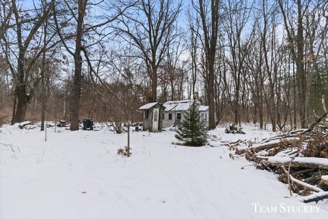 A home in Montcalm Twp