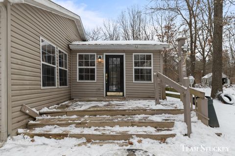 A home in Montcalm Twp