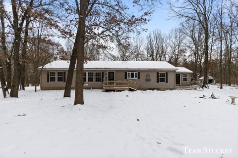 A home in Montcalm Twp