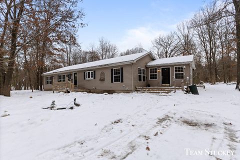 A home in Montcalm Twp