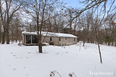 A home in Montcalm Twp