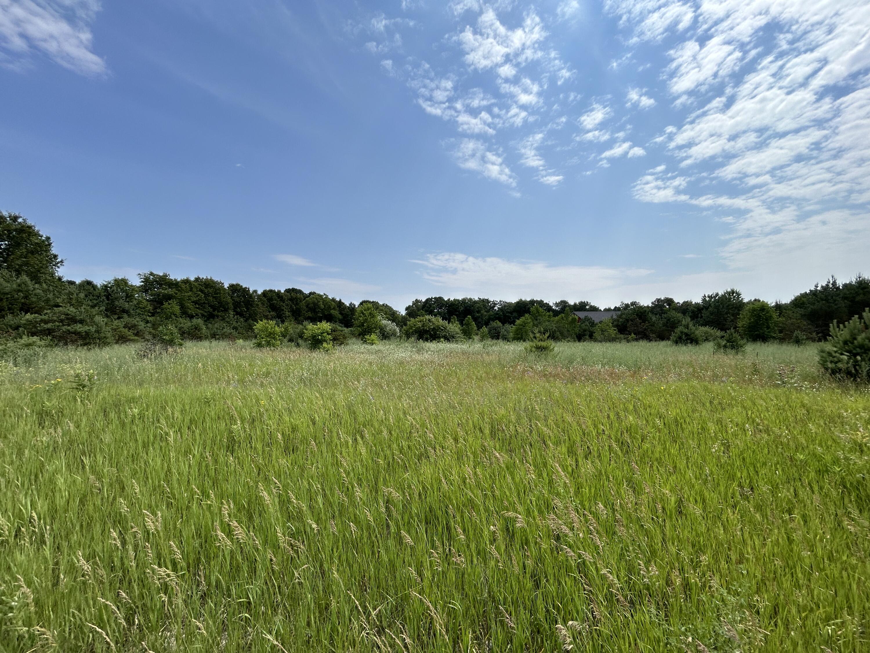 View Weare Twp, MI 49420 land