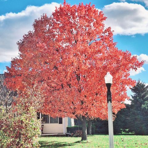 A home in Sturgis