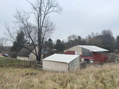 A home in Sciota Twp