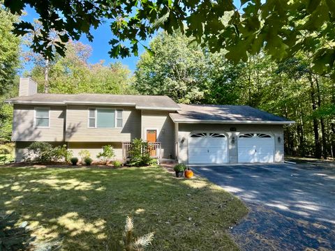 A home in Hamlin Twp