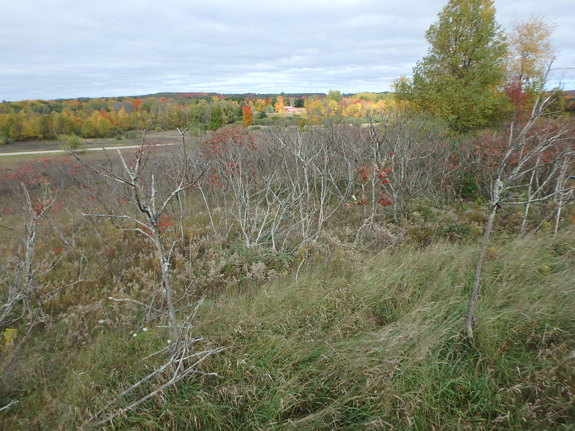 18155 Summerset Court