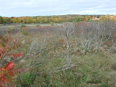 18155 Summerset Court Benona Township MI 49455