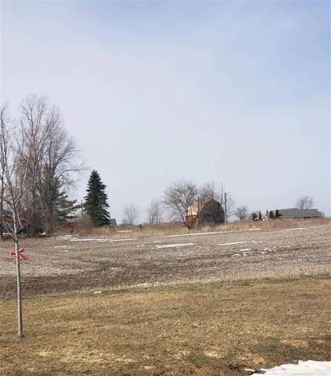 Harrington Rd/Dot Street-Parcel B Street Lexington Township MI 48422
