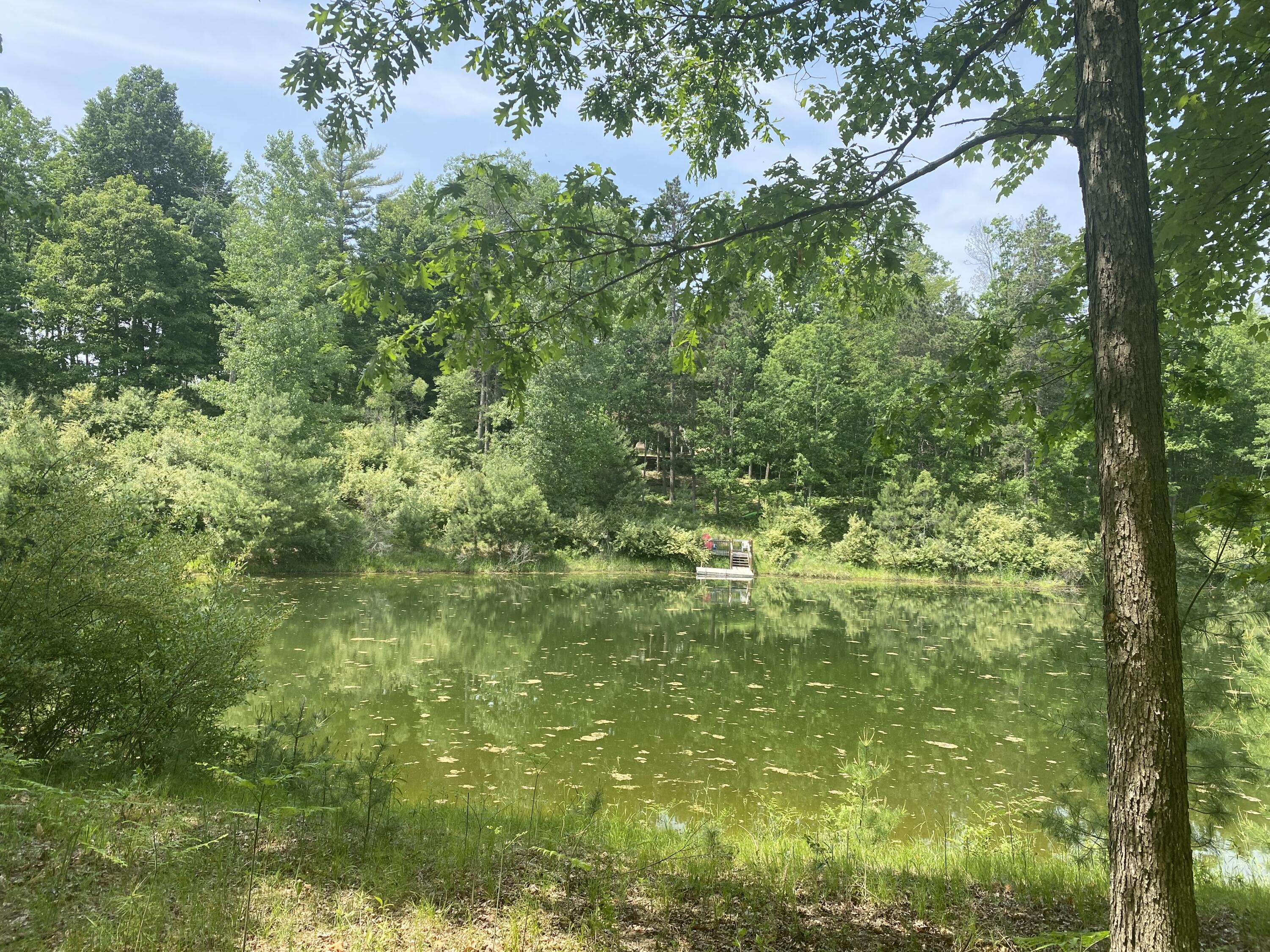 12004 Buchanan Road 42-43