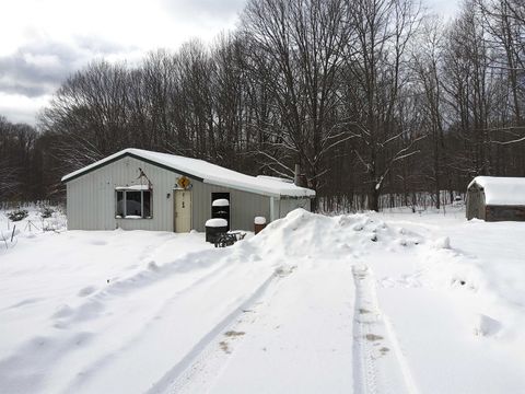 A home in Inland Twp