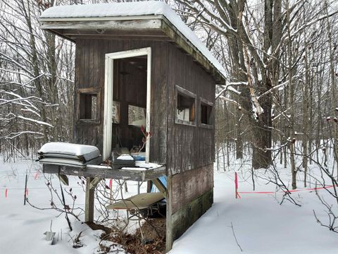 A home in Inland Twp