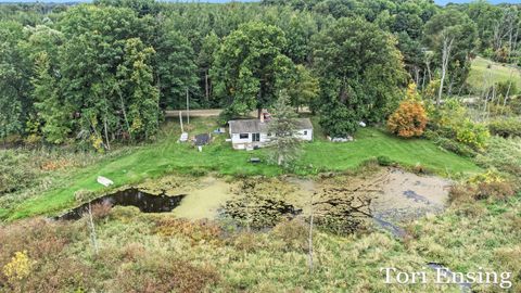 A home in Montcalm Twp