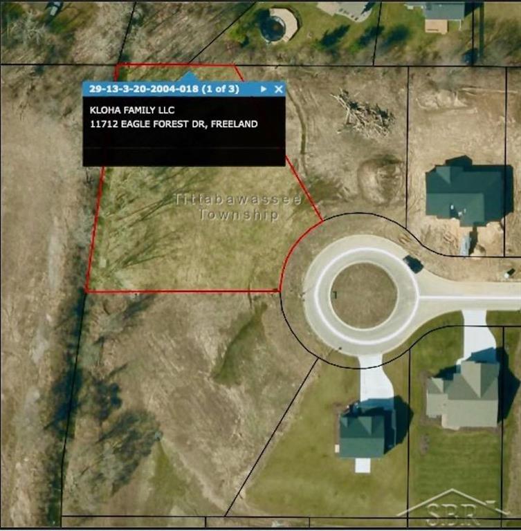 #18 Eagle Forest Drive