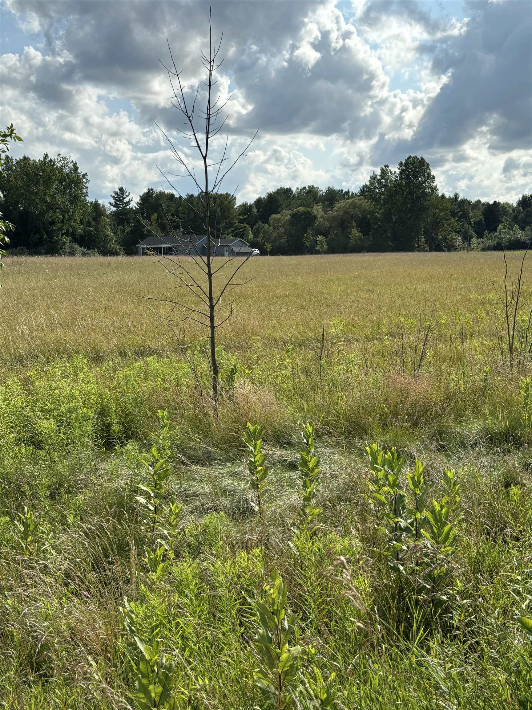 TBD Shepherd Road