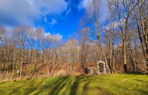 A home in Irving Twp