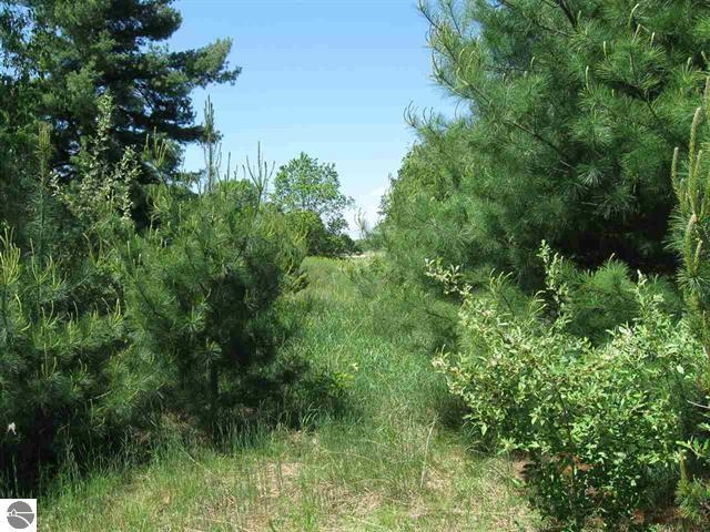 Lot 33 Alden Meadows