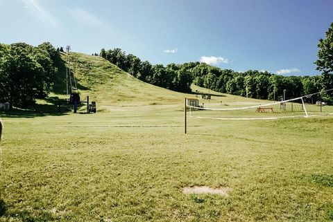 A home in Custer Twp