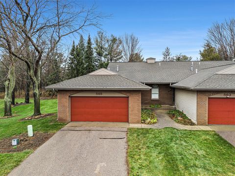 A home in Allegan