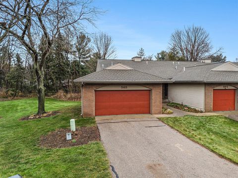 A home in Allegan