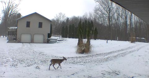 A home in Wayne Twp