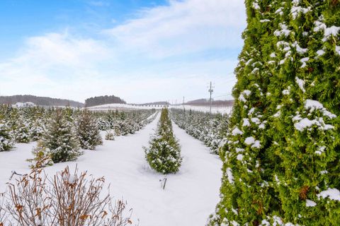 A home in Leelanau Twp