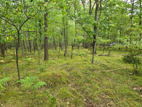 1009 Castle Drive Sherman Township MI 48893