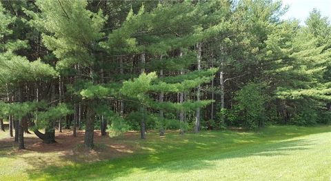 S Washburn Road Fremont Township MI 48768