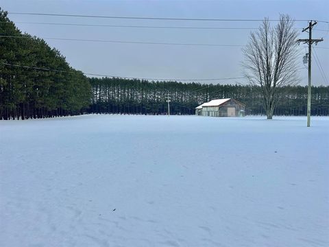 A home in Excelsior Twp