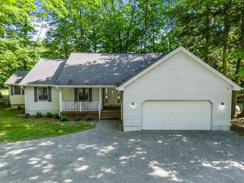 A home in Custer Twp