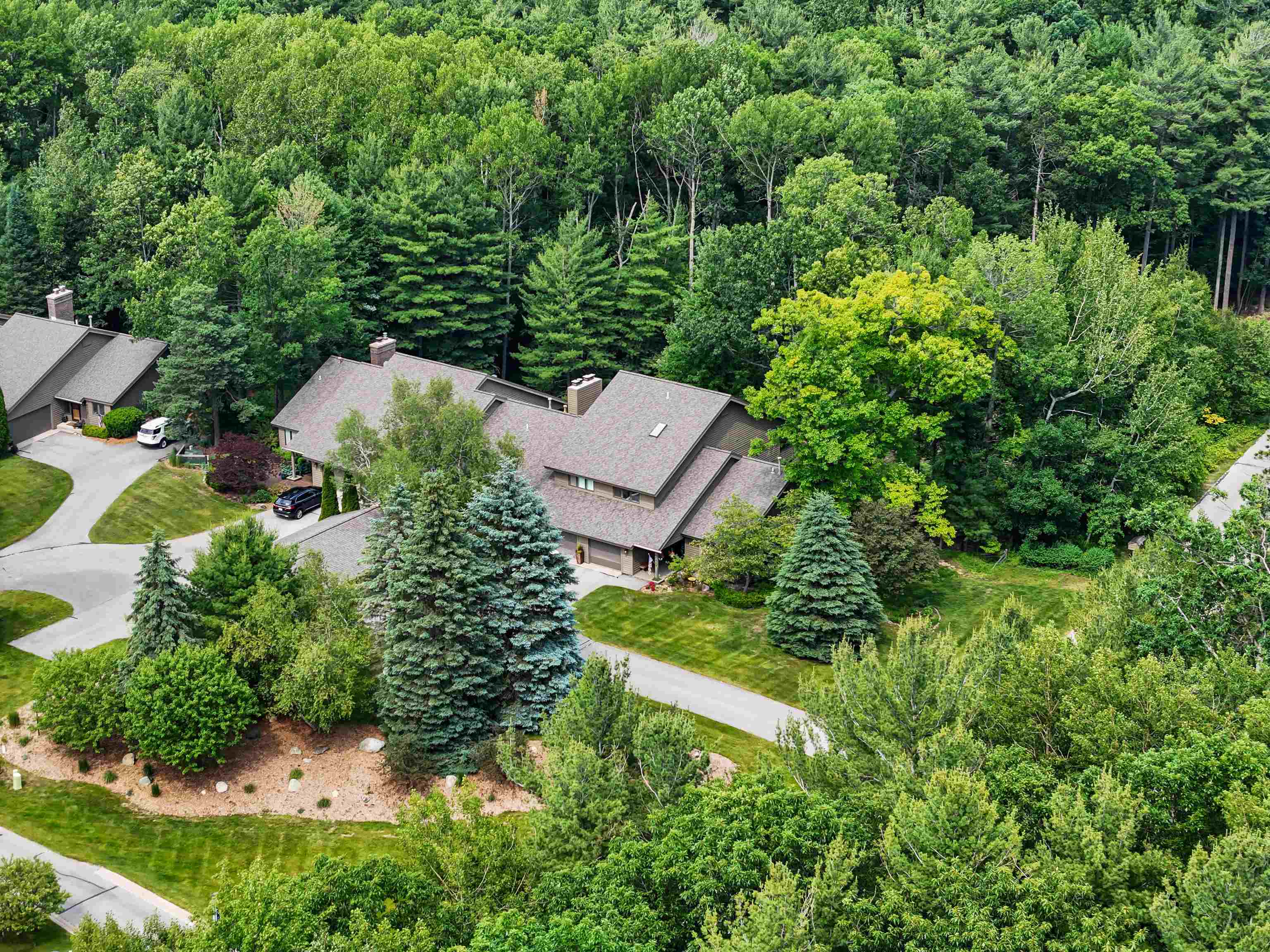 View Peninsula Twp, MI 49686 condo