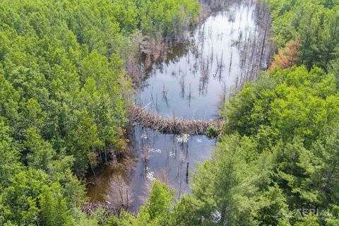 0 Co Road 646 Rogers Township MI 49759