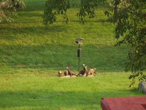 A home in Saline Twp