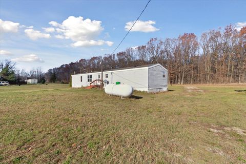 A home in Crystal Twp