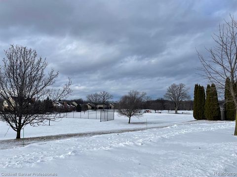A home in HartlandTownship_Livingston