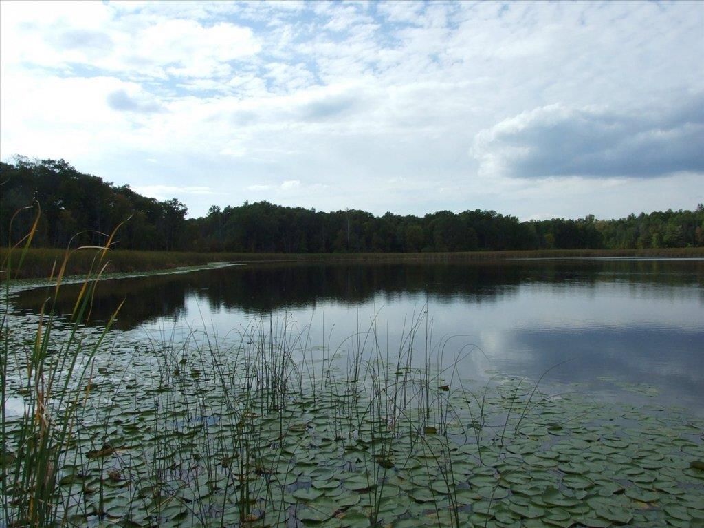 5133 Howard Lake Road