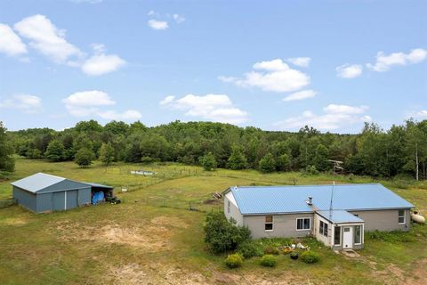 A home in Rapid River Twp