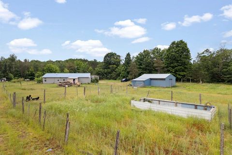 A home in Rapid River Twp