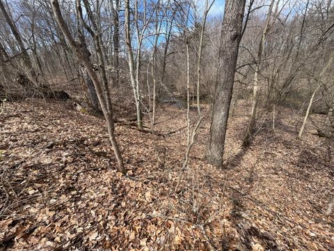 0000 66th Avenue Antwerp Township MI 49065