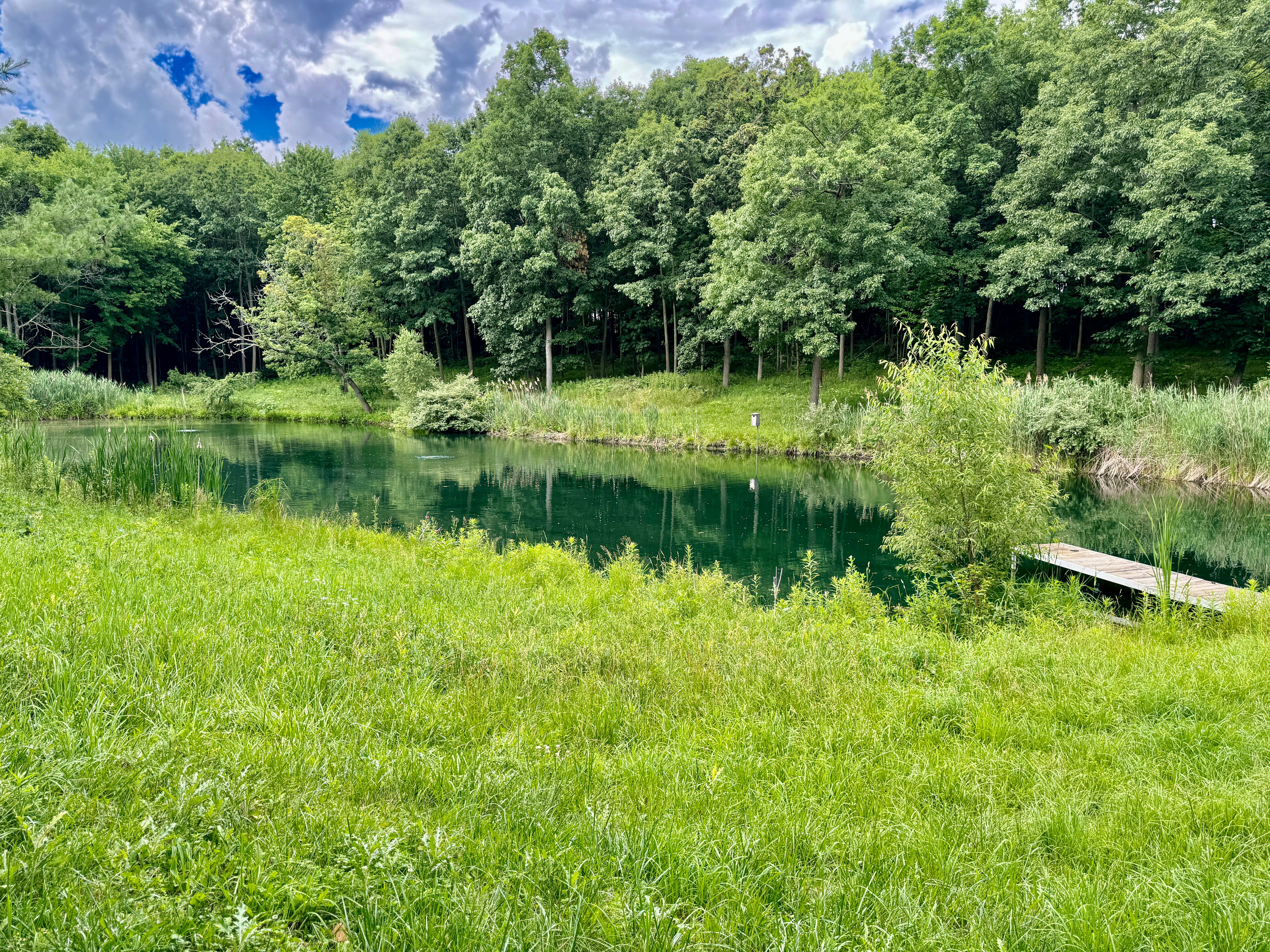 View Springfield Twp, MI 48350 land