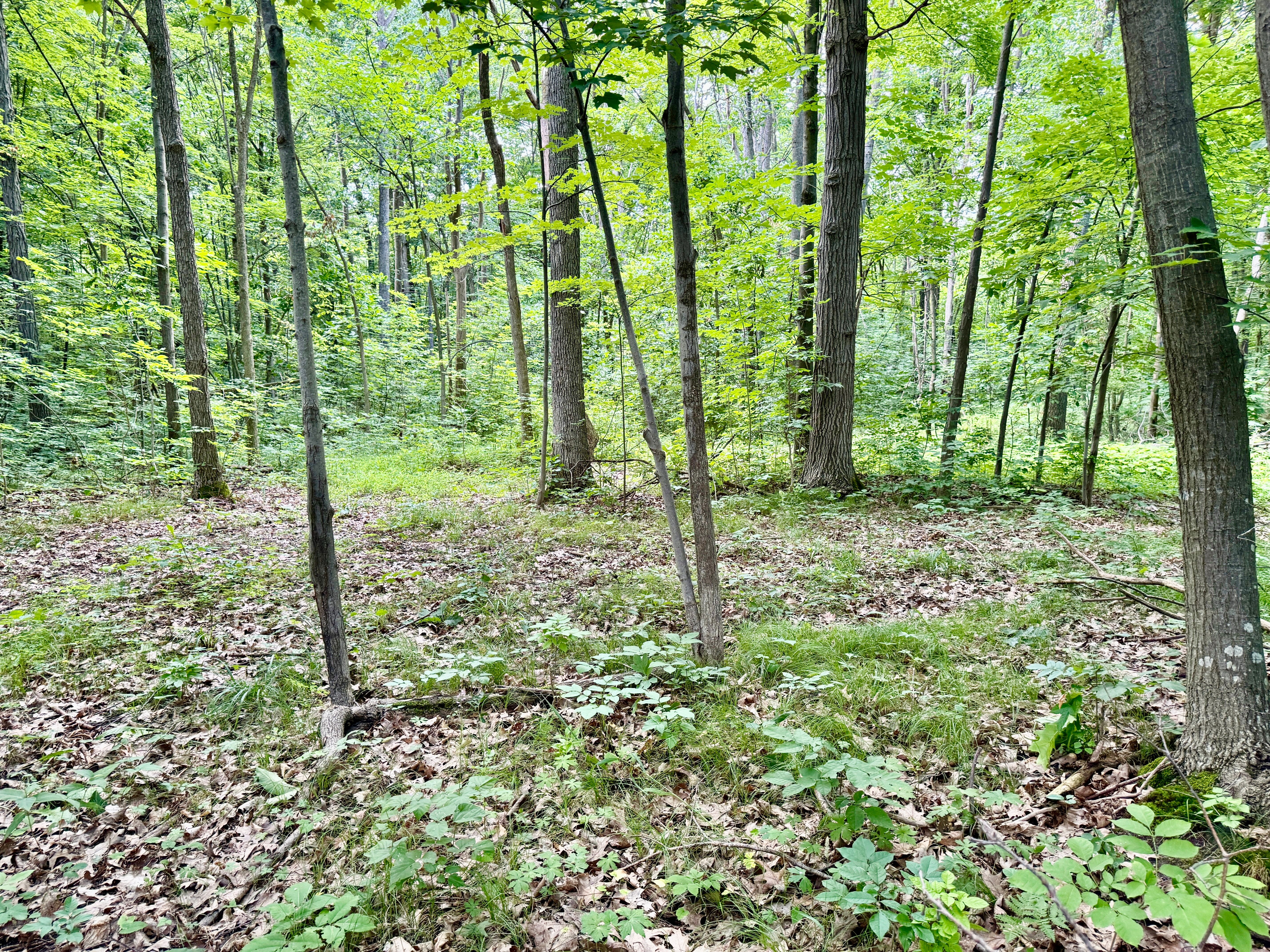 Photo 21 of 24 of 11322 E Holly Road land