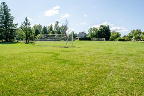 A home in Royalton Twp