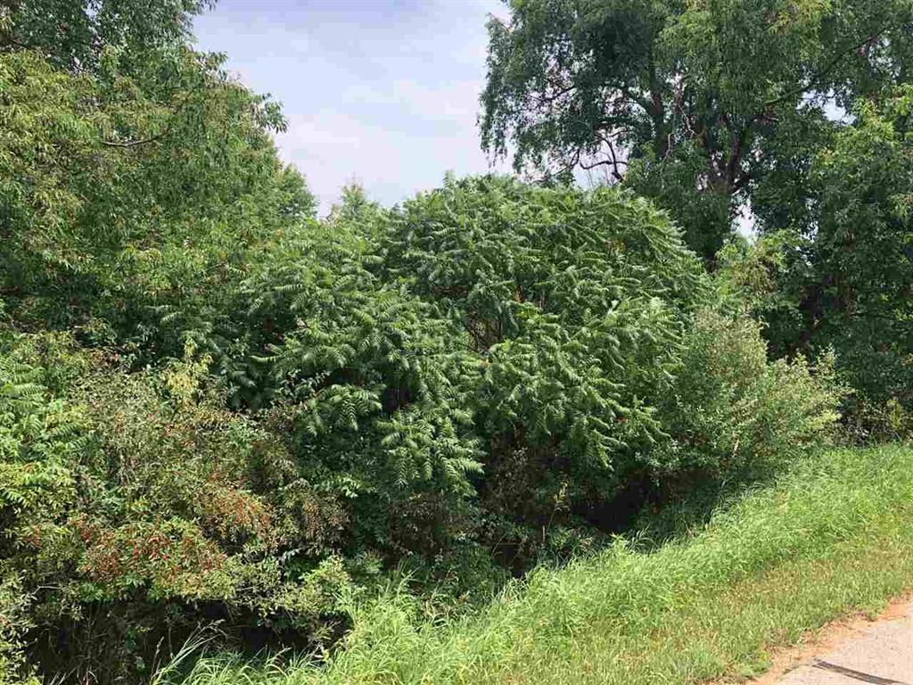 1006/1008 Laredo Drive