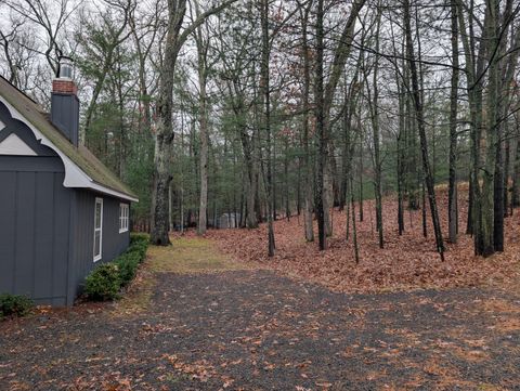 A home in Pentwater Twp