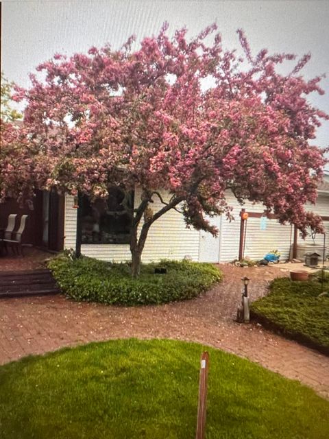 A home in Comstock Twp