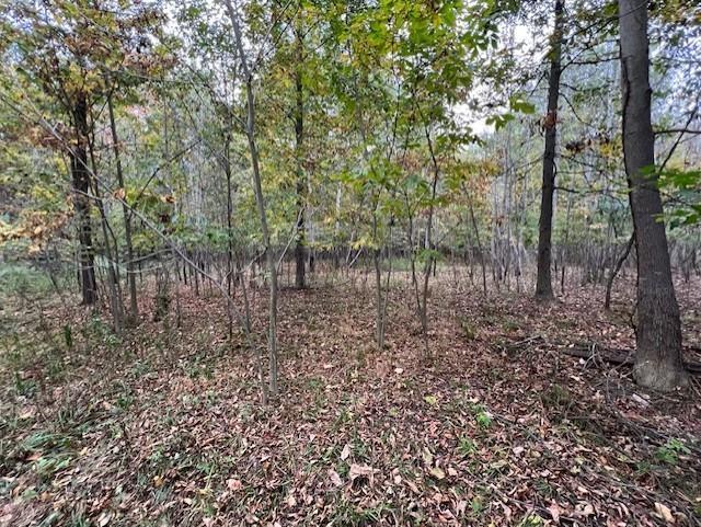 TBD Oakridge Drive